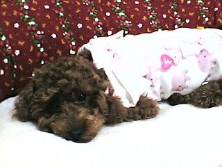 ここ気持ち良いかもね