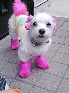 りぼんだ～眠い