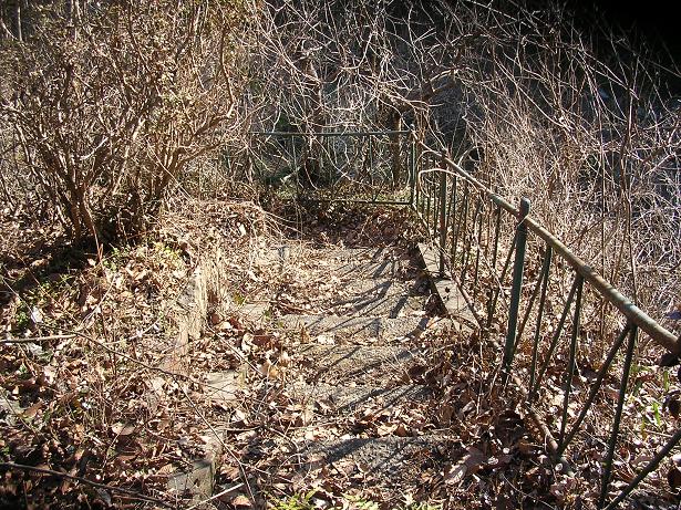 渓谷への石段道