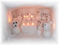 ジャンボのお腹の中