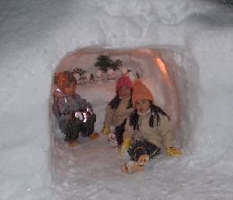 いたいた、こんな所に・・・。