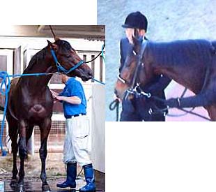 ディープ＆ピカ