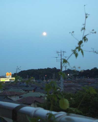 ０８・８・１５月と風船カズラ