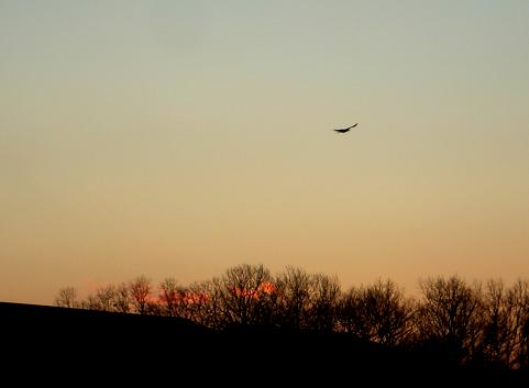 ２・２今日の夕空