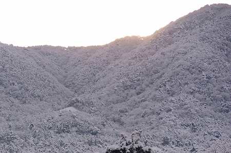 雪化粧.jpg