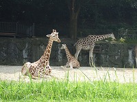 画像 022.jpg