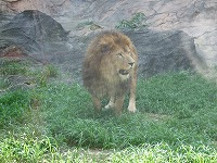 画像 026.jpg