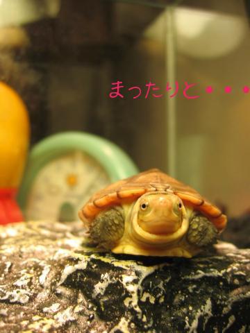 いい気持ち・・・・