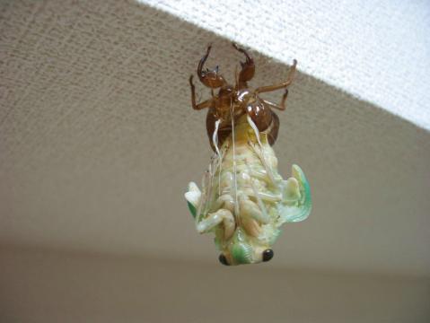 PIC00012.jpg