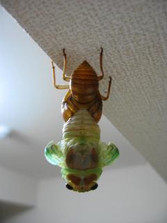 PIC00013.jpg