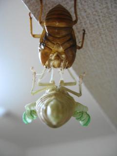 PIC00015.jpg