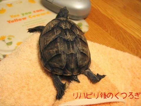 だらけてみました