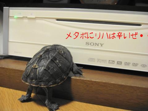 ふぅ・・・・・