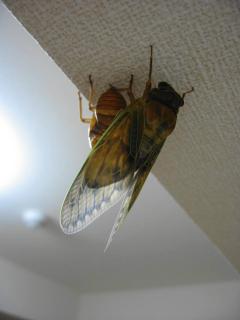 PIC00025.jpg