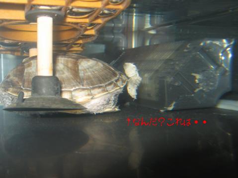 なんだ？