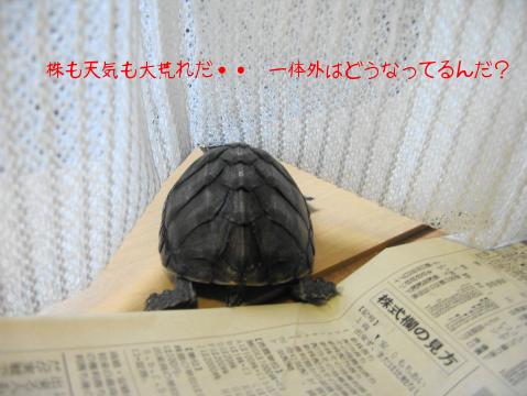 知りたい・・・