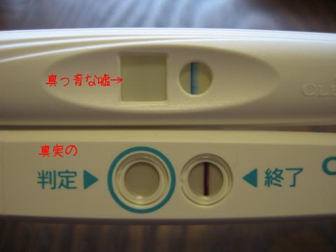 陰性 クリアブルー 生理予定日5日後