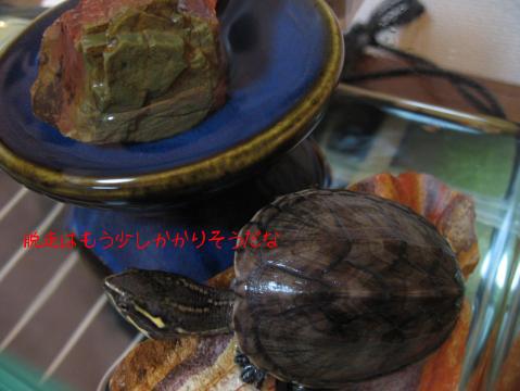 あ～、疲れた