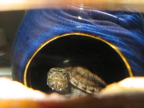良い気持ち