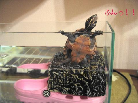 脱走直前！