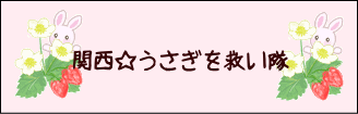 関西うさぎを救い隊