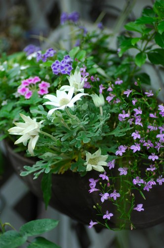 コピー ～  059.jpg