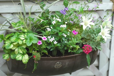 コピー ～ a 043.jpg