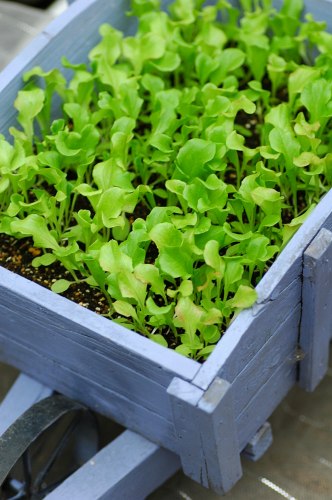 コピー ~ DSC_0277.jpg