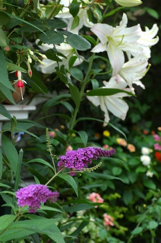 コピー ~ DSC_0281.jpg