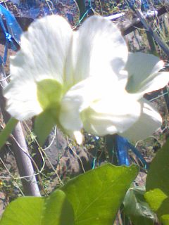 090326_1051~01.jpg