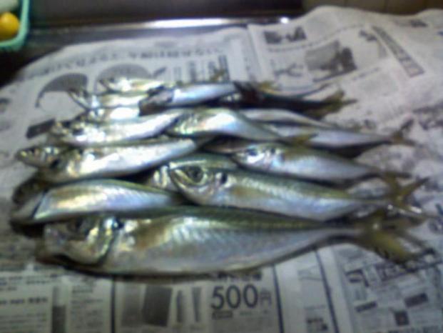 魚