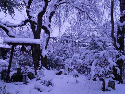 別荘雪景色