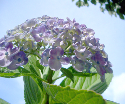 まるをえがいて