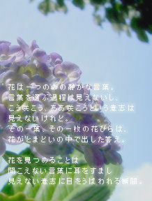 たまあじさいver1