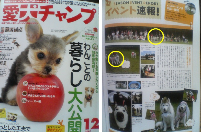 愛犬チャンプ１２月号