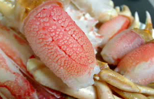 カニの爪も大きい！