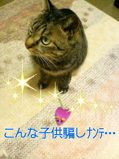 みるとおもちゃ1