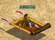 初絨毯ｗ