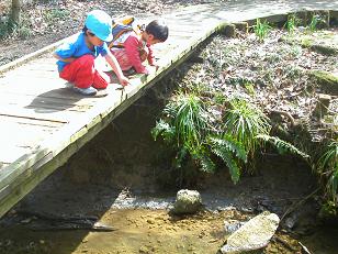 小川でお魚探し