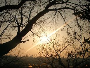 丘の上からの夕陽
