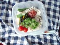 お友達特製夏野菜弁当