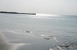 秋谷海岸