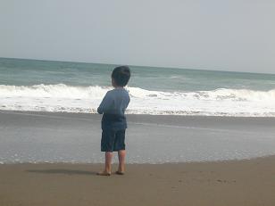 おー太海を眺める