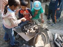 骨・頭せんべい