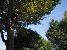 今日の空