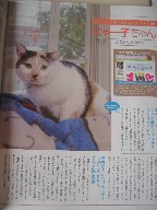 雑誌