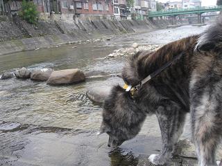 水を飲む