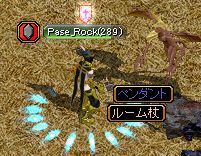 ルーム杖・・・orz.jpg