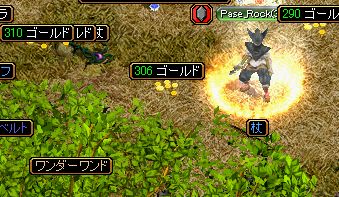 ワンダー！.jpg