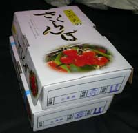 P1020980-a.jpg